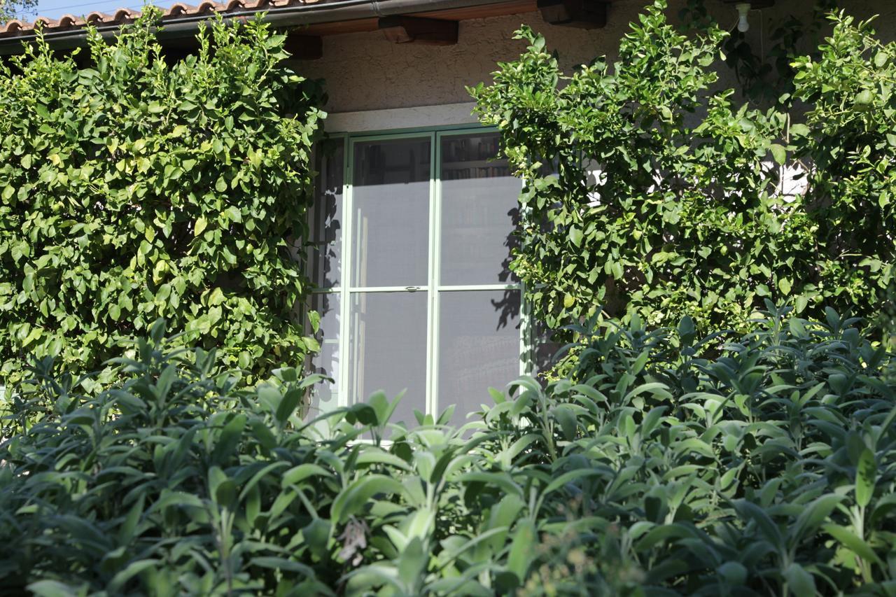 Madonnella Agricola Villa Cesano ภายนอก รูปภาพ