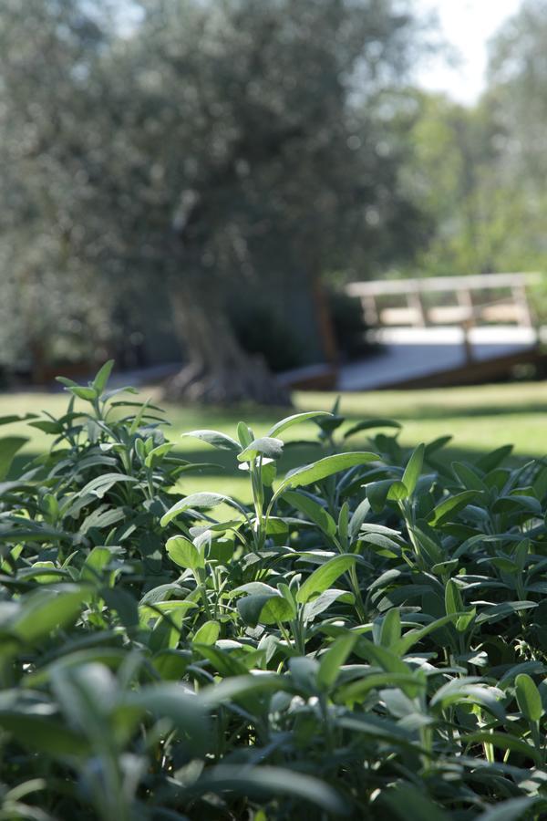 Madonnella Agricola Villa Cesano ภายนอก รูปภาพ