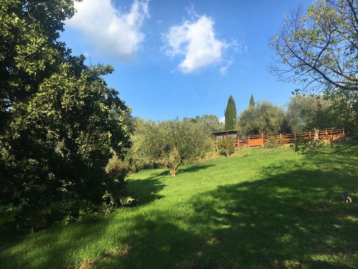 Madonnella Agricola Villa Cesano ภายนอก รูปภาพ