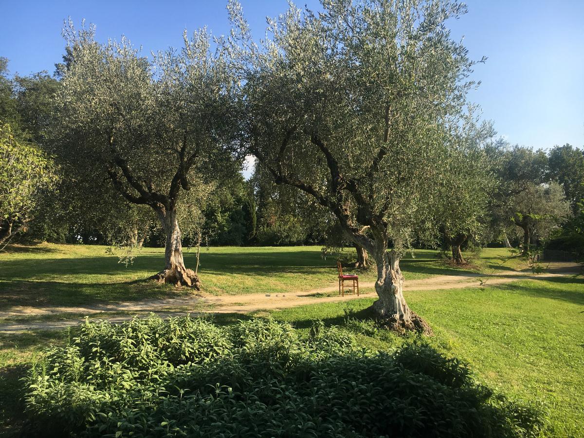 Madonnella Agricola Villa Cesano ภายนอก รูปภาพ