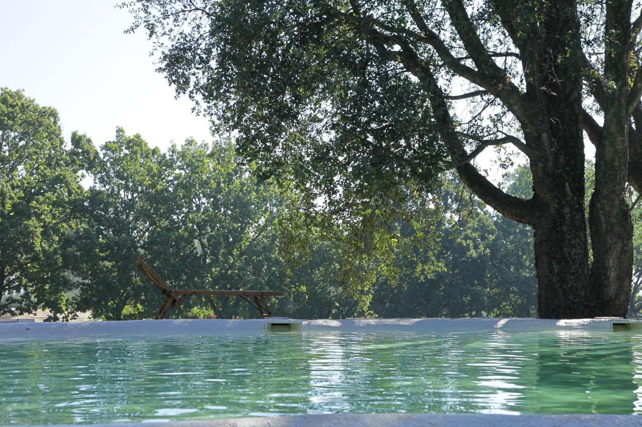 Madonnella Agricola Villa Cesano ภายนอก รูปภาพ