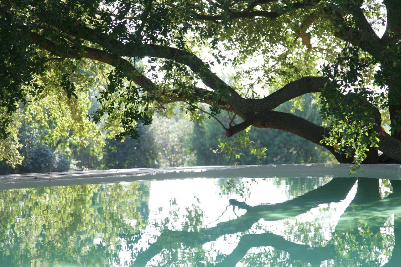 Madonnella Agricola Villa Cesano ภายนอก รูปภาพ