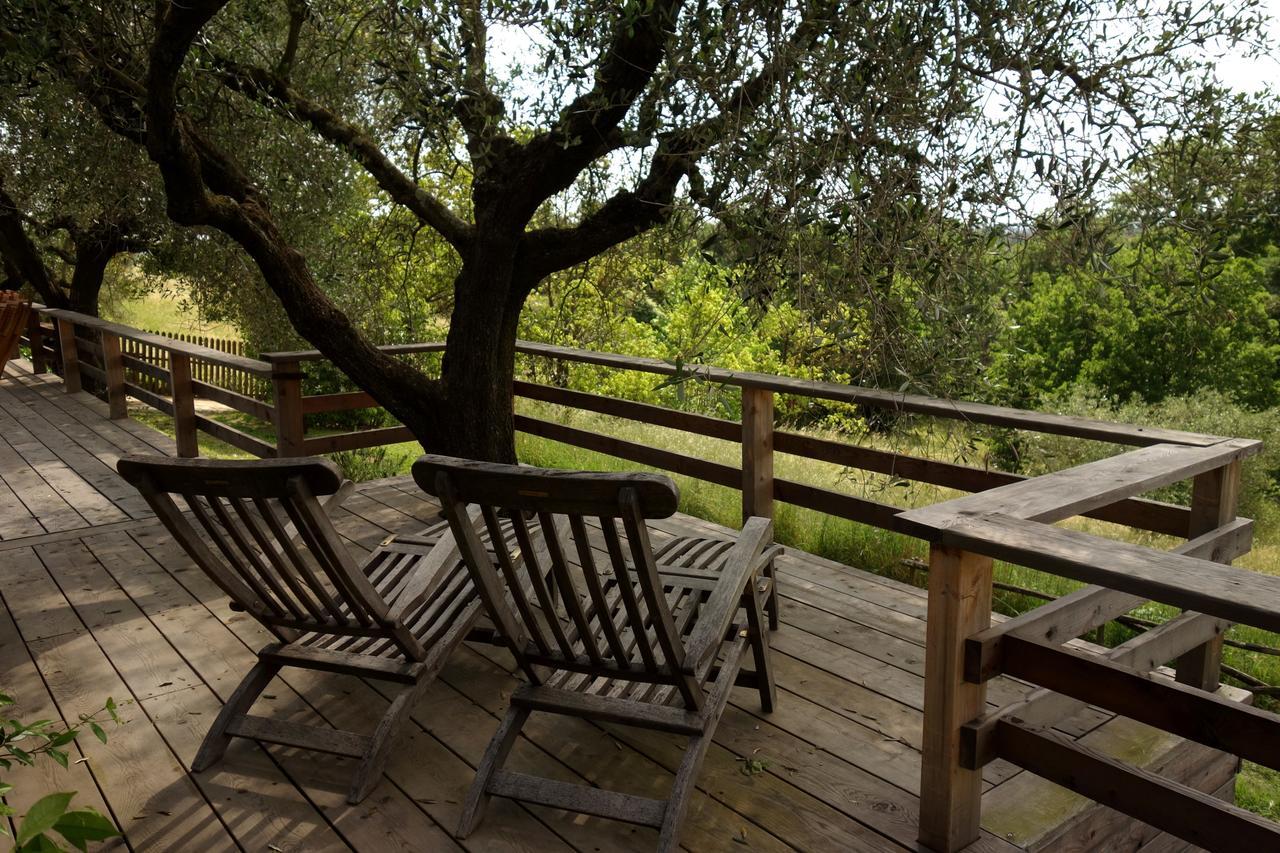 Madonnella Agricola Villa Cesano ภายนอก รูปภาพ