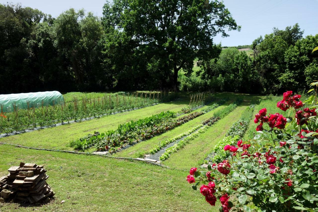 Madonnella Agricola Villa Cesano ภายนอก รูปภาพ