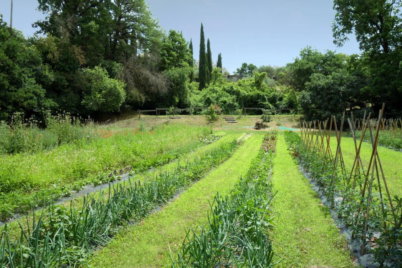 Madonnella Agricola Villa Cesano ภายนอก รูปภาพ